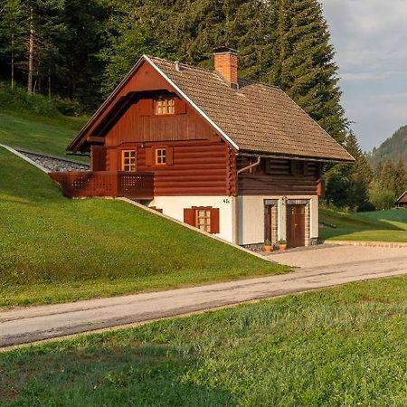 Chalet Ajda Bohinj Buitenkant foto